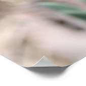 テキサス州ブルーボネット写真集シリーズ#8 ポスター (角)