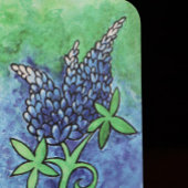 テキサス州ブルーボネット セーブザデート