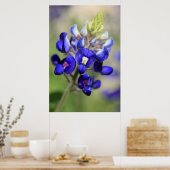 テキサス州ブルーボンネットのポスター ポスター (キッチン)