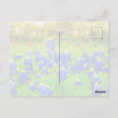 テキサス州ブルーボンネットインディアンペイントブラシフローラ ポストカード (裏面)