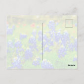 テキサス州ブルーボンネットインディアンペイントブラシ ポストカード (裏面)