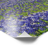 テキサス州ブルーボンネットカントリーフォトアートプリント フォトプリント            (角)