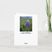 テキサス州ブルーボンネットクリスチャンJohn 3:16 空白の Inside カード (裏面)