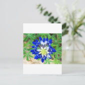 テキサス州ブルーボンネットトップビュー ポストカード (スタンド正面)