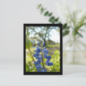 テキサス州ブルーボンネットポストカード ポストカード (スタンド正面)