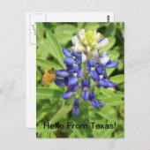 テキサス州ブルーボンネットポストカード ポストカード (正面/裏面)