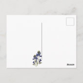 テキサス州ブルーボンネットワイルドフラワーポストカード ポストカード (裏面)