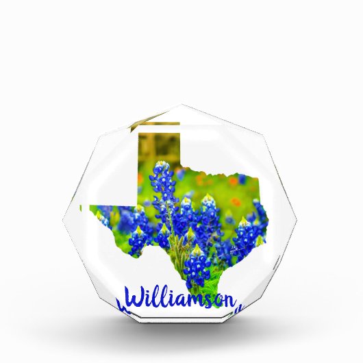 テキサス州ブルーボンネット州のテキサス州w名 フォトブロック (正面)