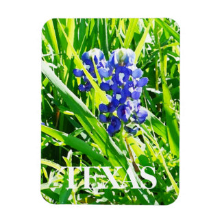 テキサス州ブルーボンネット磁石 マグネット