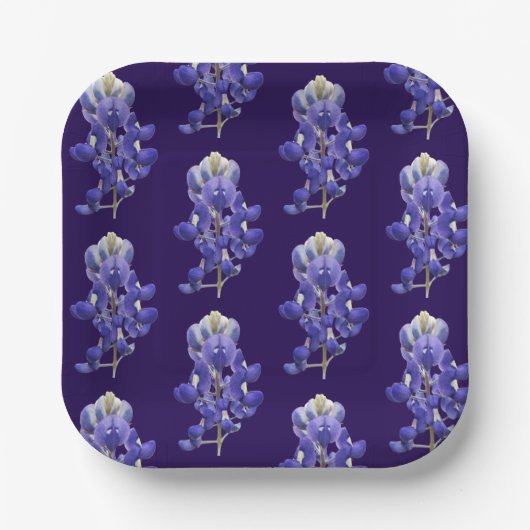 テキサス州ブルーボンネット紙プレート ペーパープレート (正面)
