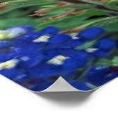 テキサス州ブルーボンネット&ペイントブラシフラワーアートプリント ポスター (角)