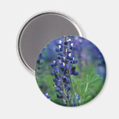 テキサス州ブルーボンネット–2最高の- マグネット (正面/裏面)