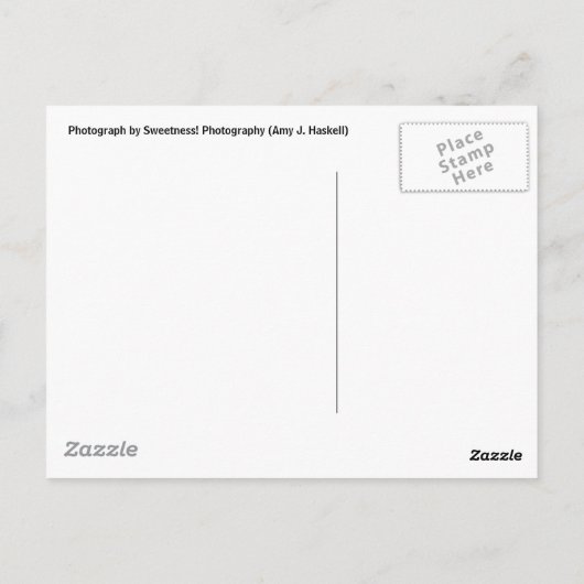 テキサス州ロングハガキ ポストカード (裏面)