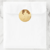 テキサス州ロングホーン牛革プリント模様 ラウンドシール (バッグ)