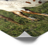 テキサス州ロングホーン ポスター (角)