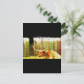 テキサス州ロングホーン ポストカード (スタンド正面)