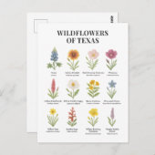 テキサス州ワイルドフラワーズインウォータースタイル ポストカード (正面/裏面)