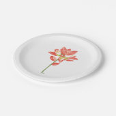 テキサス州ワイルドフラワーズ – インディアンペイントブラシ，オレンジ ペーパープレート (アングル)