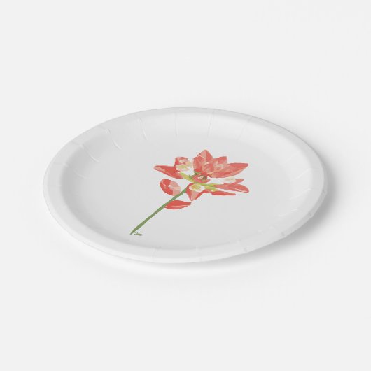 テキサス州ワイルドフラワーズ – インディアンペイントブラシ，オレンジ ペーパープレート (アングル)