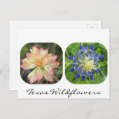 テキサス州ワイルドフラワーポストカード ポストカード (正面/裏面)