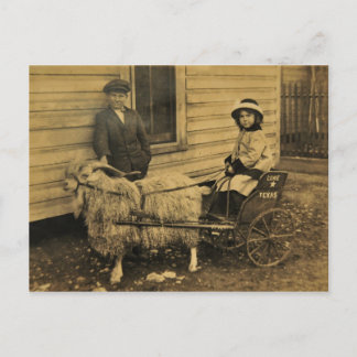 テキサス州乗り ポストカード