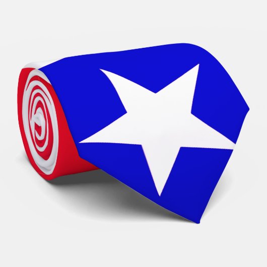 テキサス州国旗のネックタイ ネクタイ (ロール)