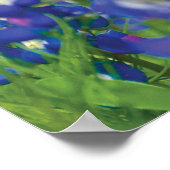 テキサス州国旗のブルーボンネットポスター ポスター (角)