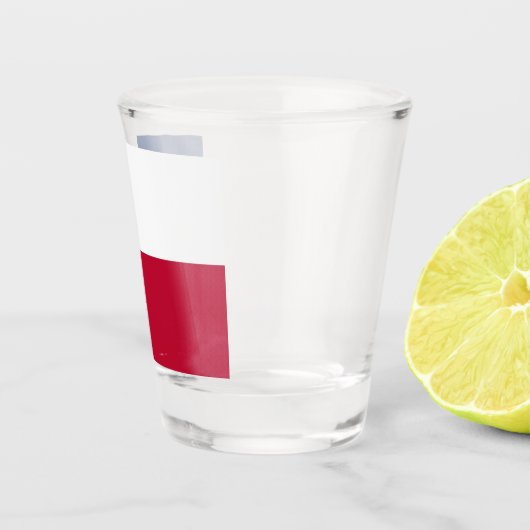 テキサス州国旗を掲げた愛国的なショットグラス ショットグラス (右)