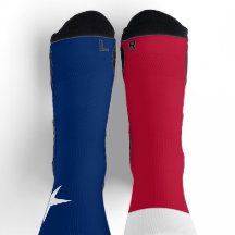 テキサス州国旗誇りを持ったローンスター州テシャン