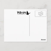 テキサス州国旗 ポストカード (裏面)