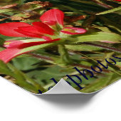 テキサス州山花 ポスター (角)