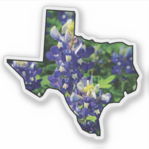 テキサス州州のアウトラインとBluebonnets シール