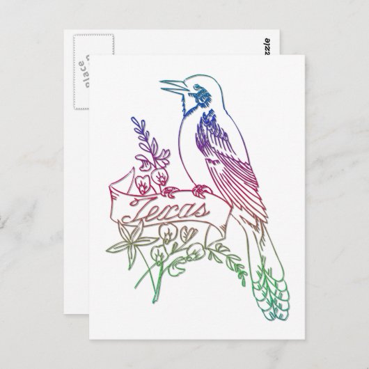 テキサス州州バードザモッキンバード ポストカード (正面/裏面)