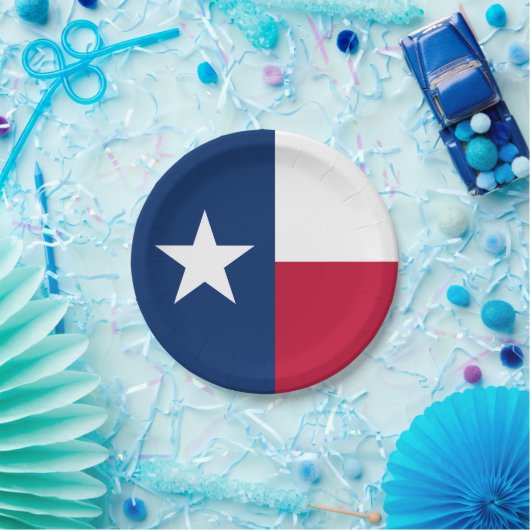 テキサス州州旗 ペーパープレート (パーティー)