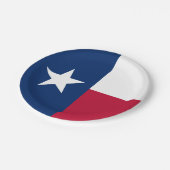 テキサス州州旗 ペーパープレート (アングル)