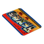 テキサス州州磁石 マグネット (右側)