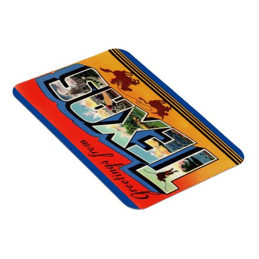 テキサス州州磁石 マグネット (右側)