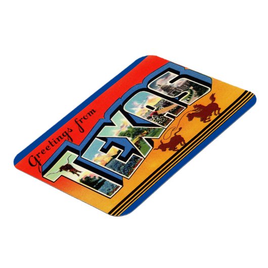 テキサス州州磁石 マグネット (左側)