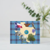 テキサス州州記号 ポストカード (スタンド正面)