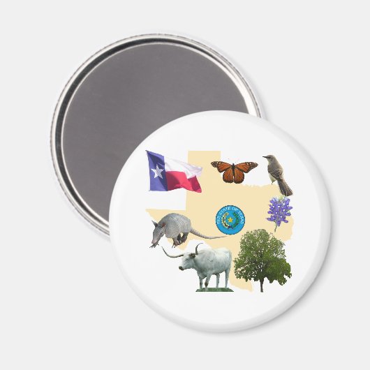 テキサス州州記号 マグネット (正面/裏面)