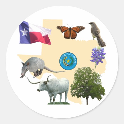 テキサス州州記号 ラウンドシール (正面)