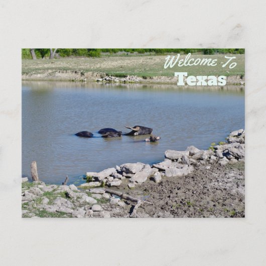 テキサス州州 ポストカード (正面)