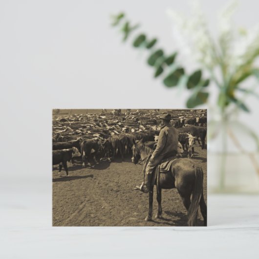 テキサス州平野の青空の下 ポストカード (スタンド正面)