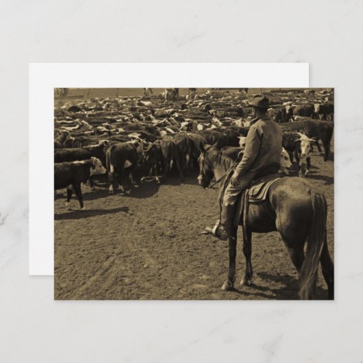 テキサス州平野の青空の下 ポストカード (正面/裏面)