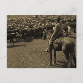 テキサス州平野の青空の下 ポストカード (正面)