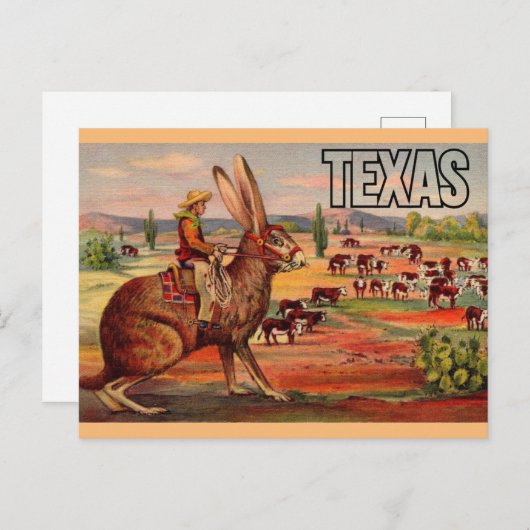 テキサス州旅行案内葉書 – Vintage Travel ポストカード (正面/裏面)