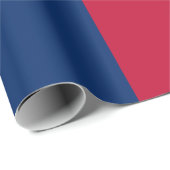 テキサス州旗(テキサス州) ラッピングペーパー (ロールコーナー)