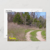 テキサス州春 ポストカード (正面/裏面)