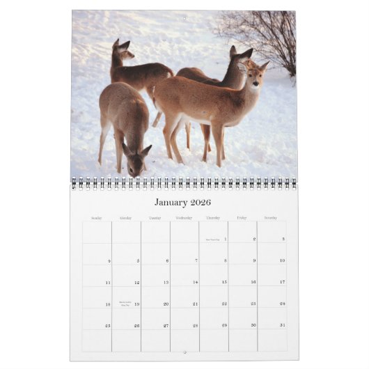 テキサス州暦のシカ カレンダー (1月 2026)