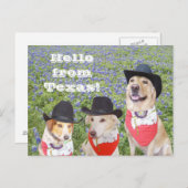 テキサス州犬のブルーボンネット ポストカード (正面/裏面)